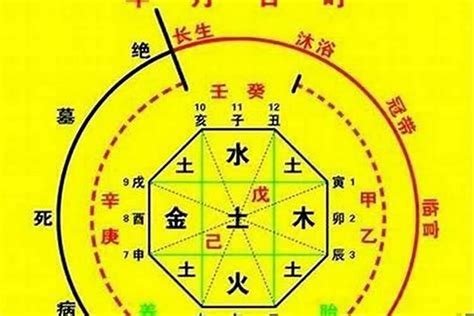 姓名十神|【基礎教學】八字十神是什麼？10個十神與格局說明